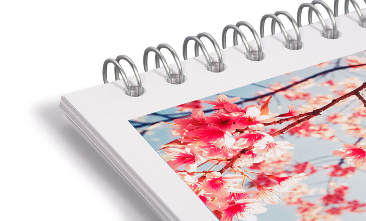 Een opengeslagen fotoboek met een foto van bloeiende kersenbloesems.