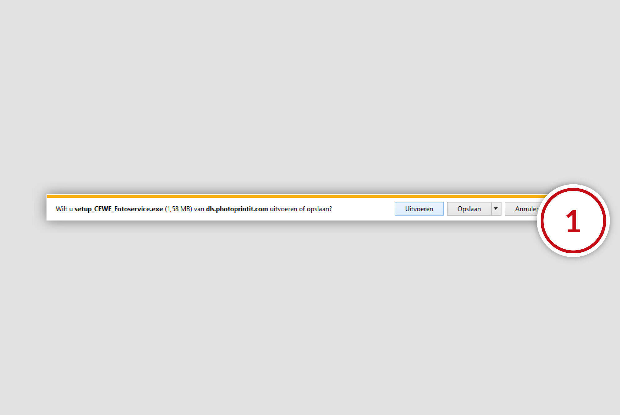 Downloadvenster voor software, bestand opgeslagen door CEWE.