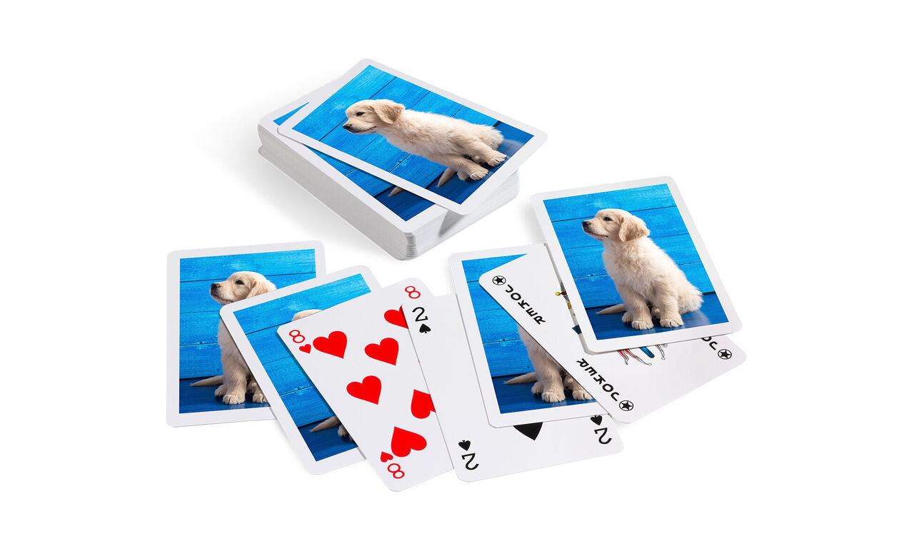 Kaarten met afbeeldingen van een blije hond op een blauwe achtergrond
