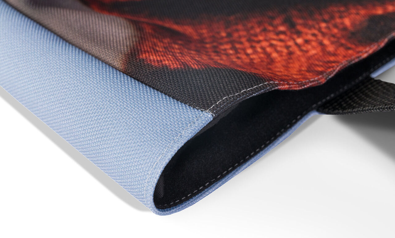 Close-up van een muurdecoratie met blauwe rand en rood motief.