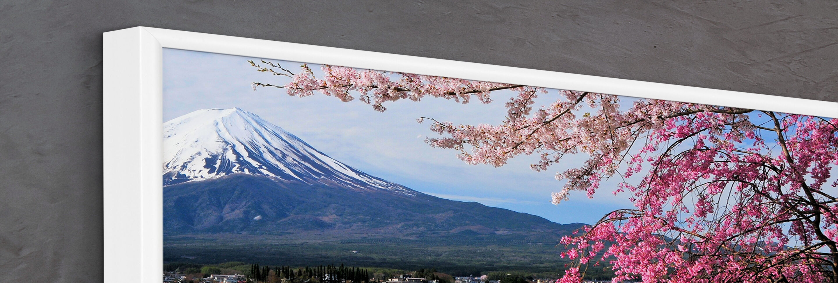 Bloeiende kersenboom met Mount Fuji op de achtergrond, de lucht is helder
