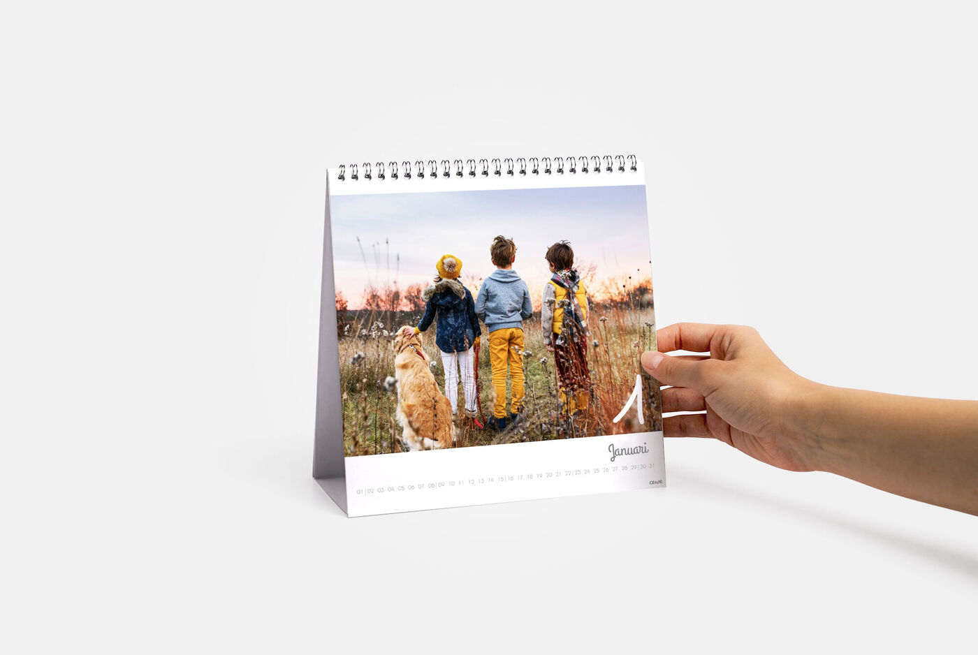 Hand houdt een CEWE fotokalender met kinderen en een hond voor een mooi landschap.