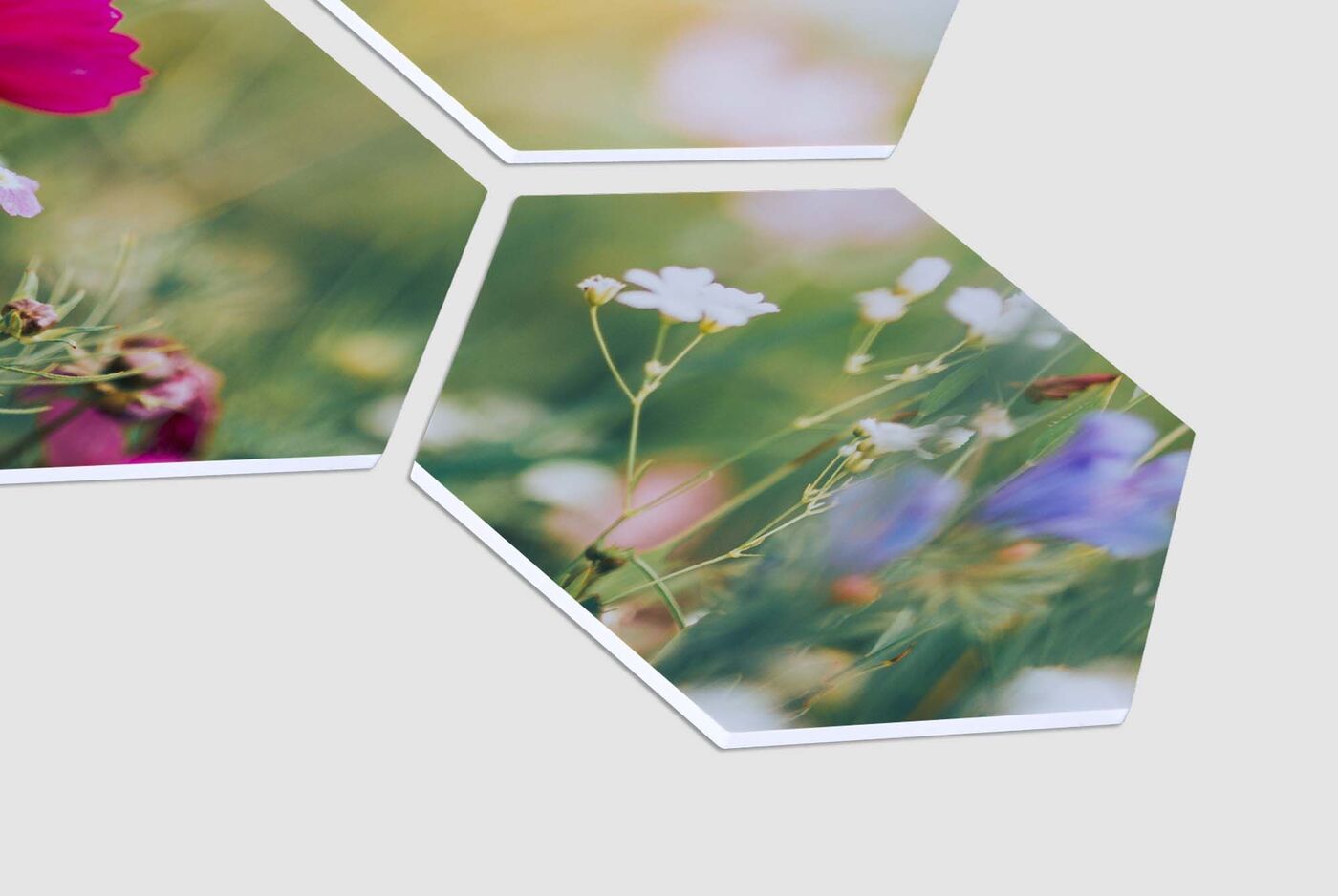 Zeshoekige fotoprints met kleurrijke bloemenmotieven.