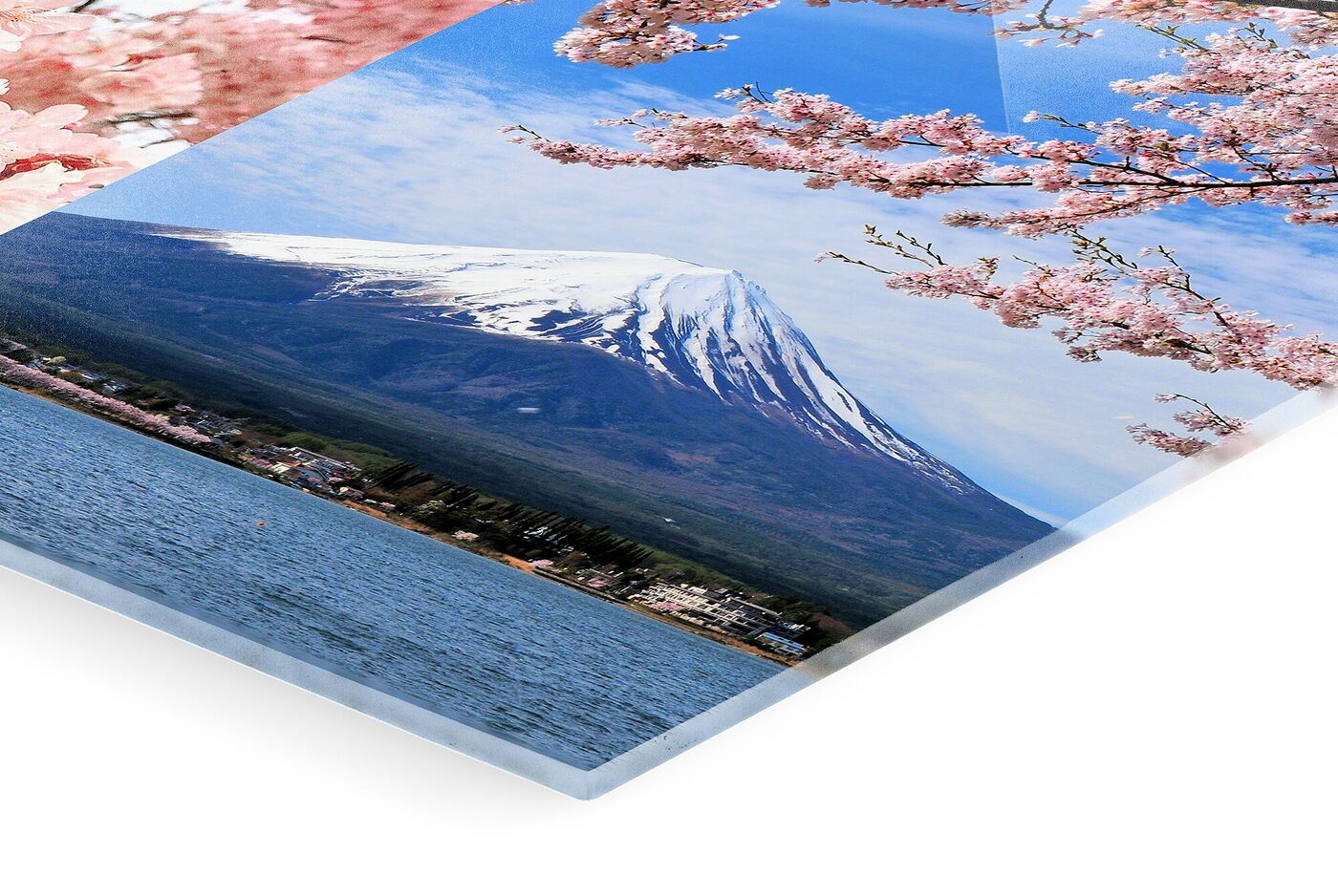 Uitzicht op de Fuji met kersenbloesems op de voorgrond